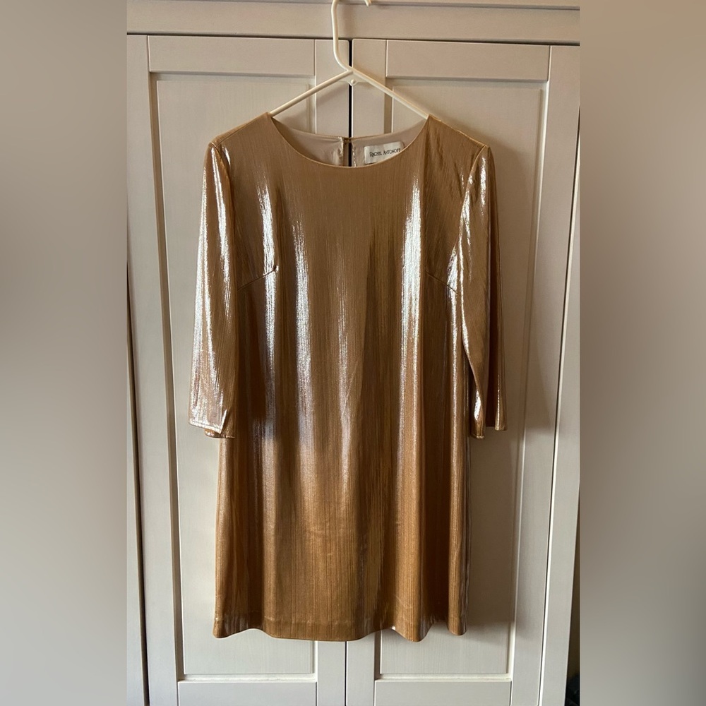 Rachel Antinoff “Nancy” Dress in Champagne Color